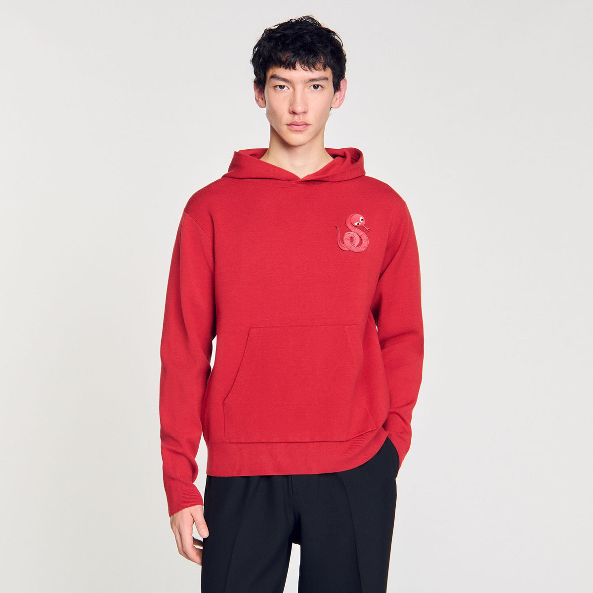 Knit sweatshirt with snake detail | Sandro